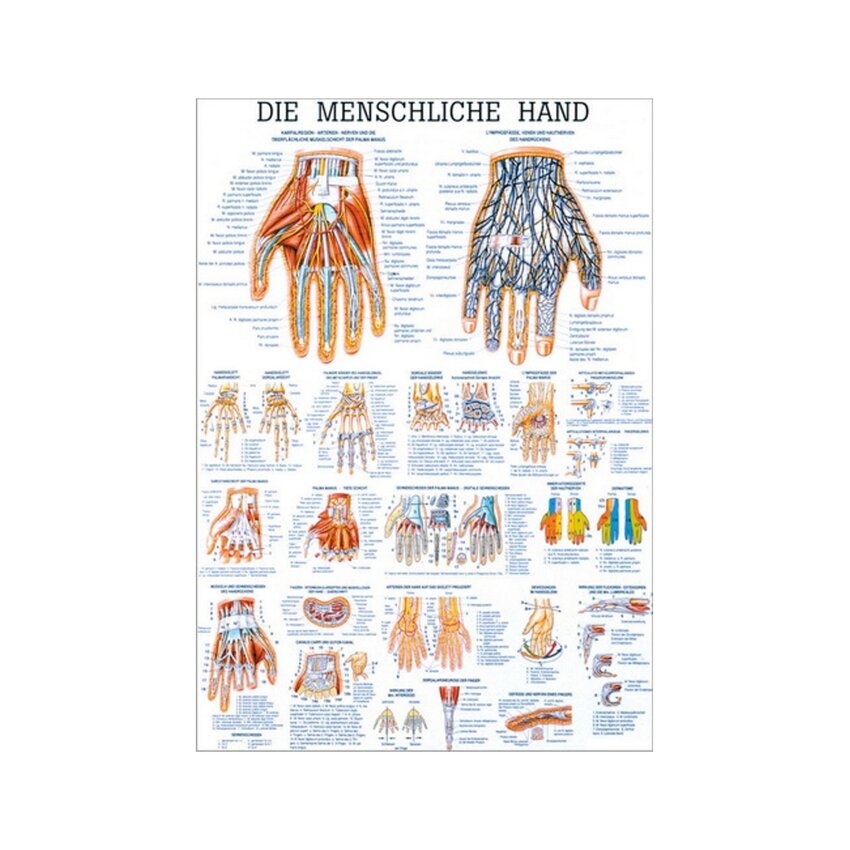 Håndplakat lamineret engelsk