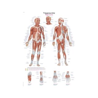 Trigger points board, 2 størrelser