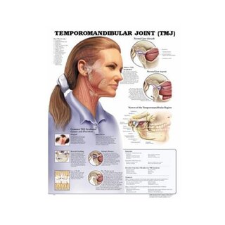 Temporomandibulær ledsituation (TMJ) lamineret engelsk