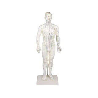 Kinesisk akupunkturfigur, mand