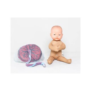 Fosterdukke med placenta og navlestreng. Svarer størrelsesmæssigt til en nyfødt