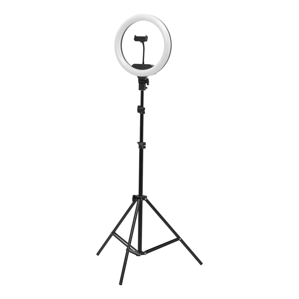 Ringlampe 13" 36 W LED med stativ og fjernbetjening, sort